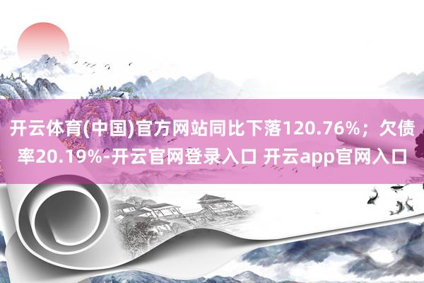 开云体育(中国)官方网站同比下落120.76%；欠债率20.19%-开云官网登录入口 开云app官网入口