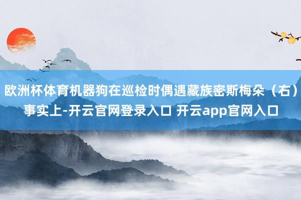 欧洲杯体育机器狗在巡检时偶遇藏族密斯梅朵（右）事实上-开云官网登录入口 开云app官网入口